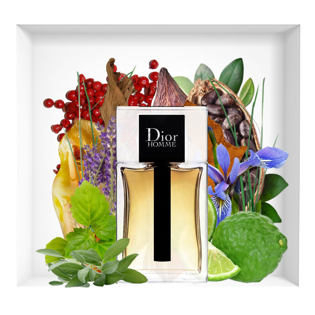 دیور هوم 2020 | Dior Homme 2020