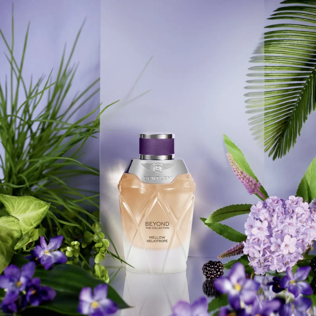 بنتلی ملو هلیوتروپ | Bentley Mellow Heliotrope