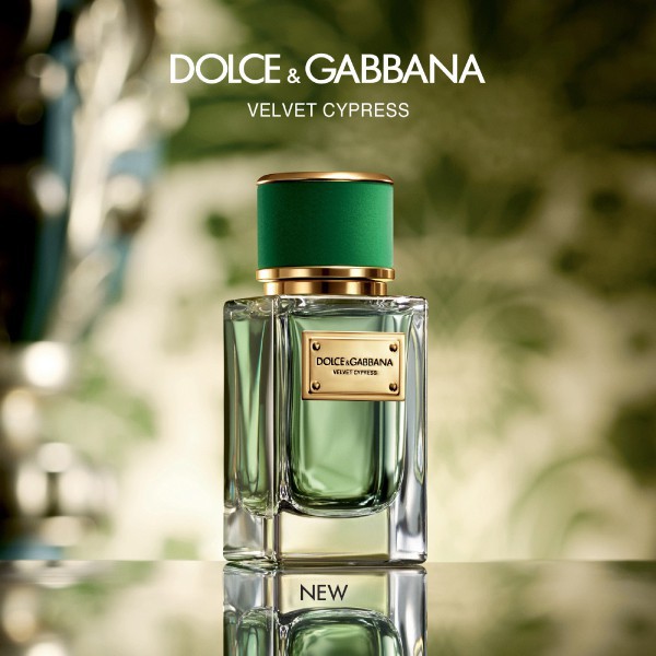دی اند جی (دولچه گابانا) ولوت سایپرس | Dolce Gabbana Velvet Cypress