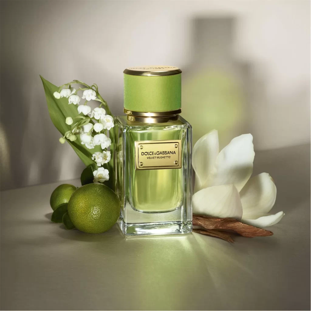 عطر دی اند جی (دولچه گابانا) ولوت موگتو | Dolce & Gabbana Velvet Mughetto