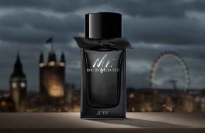 عطر ادکلن باربری مستر باربری ادو پرفیوم | Burberry Mr. Burberry Eau de Parfum