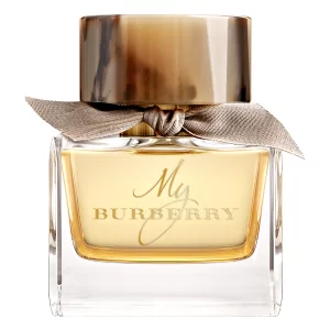 عطر ادکلن باربری مای باربری ادوپرفیوم | Burberry My Burberry EDP