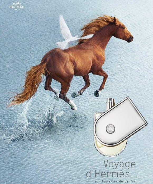عطر ادکلن هرمس وویاژ | Hermes Voyage d’Hermes