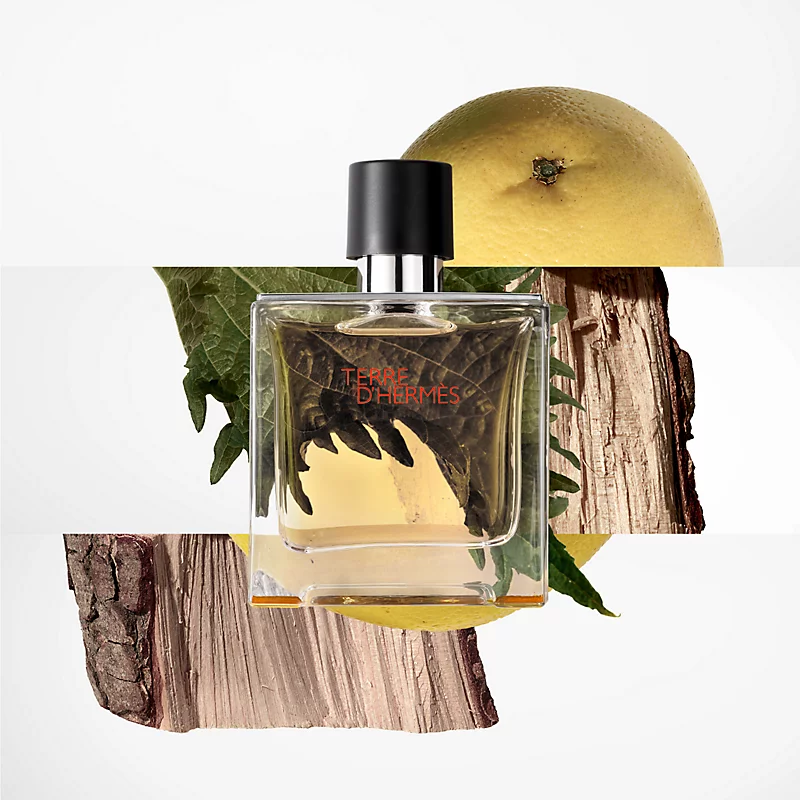 عطر ادکلن هرمس تق هرمس ادو تویلت | Hermes Terre d’Hermes edt