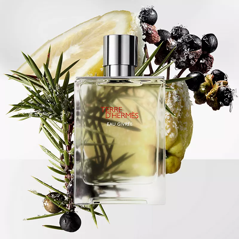 عطر ادکلن هرمس تق د هرمس او گیوری | Hermès Terre d’Hermes Eau Givree