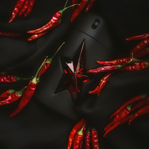 تیری موگلر د تست آف فرگرنس ای من | Thierry Mugler The Taste of Fragrance A*Men