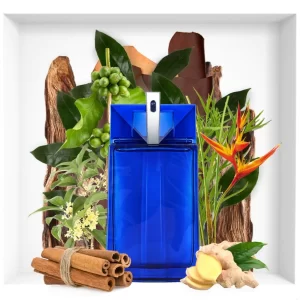 تیری موگلر الین من فیوژن | Thierry Mugler Alien Man Fusion