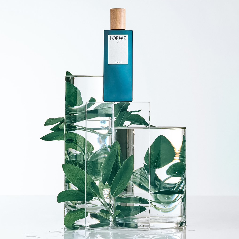 لووه لووه 7 کوبالت | Loewe Loewe 7 Cobalt