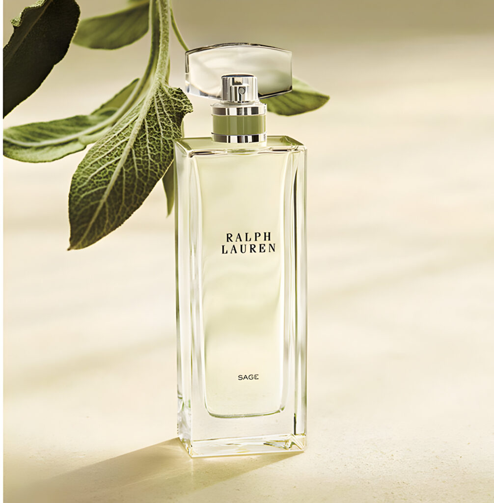 رالف لورن سانگ آف آمریکا سیج | Ralph Lauren Song of America Sage