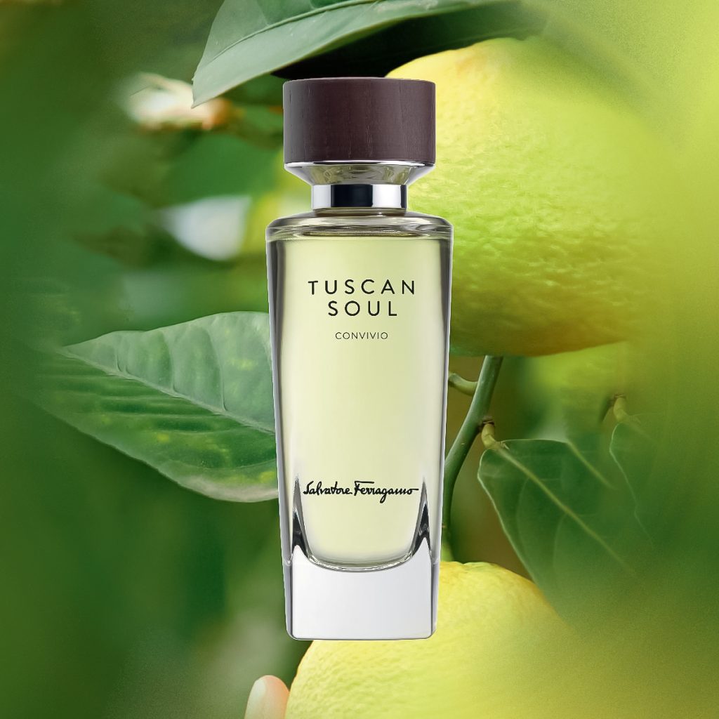 سالواتور فراگامو کونویویو ادو تویلت | Salvatore Ferragamo Convivio EDT
