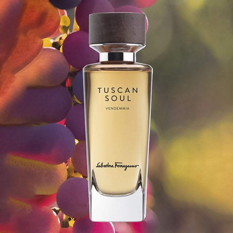 سالواتور فراگامو وندمیا ادو تویلت | Salvatore Ferragamo Vendemmia EDT