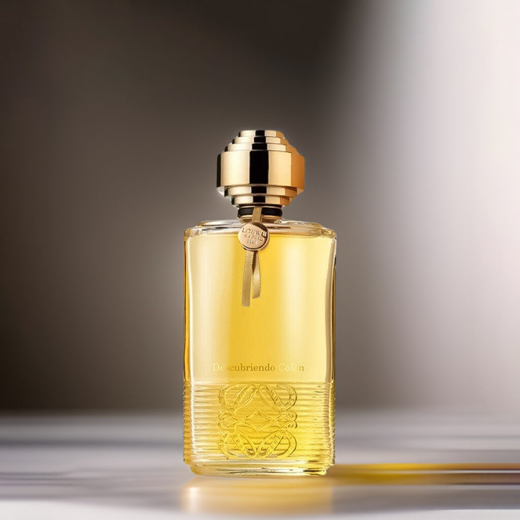 لووه دسکوبریندو کولون | LOEWE Descubriendo Colon