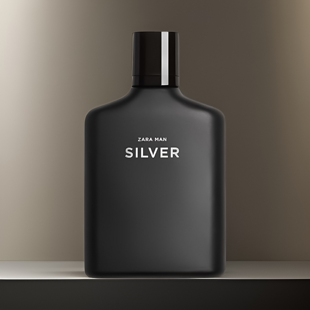 زارا سیلور مردانه | Zara Man Silver