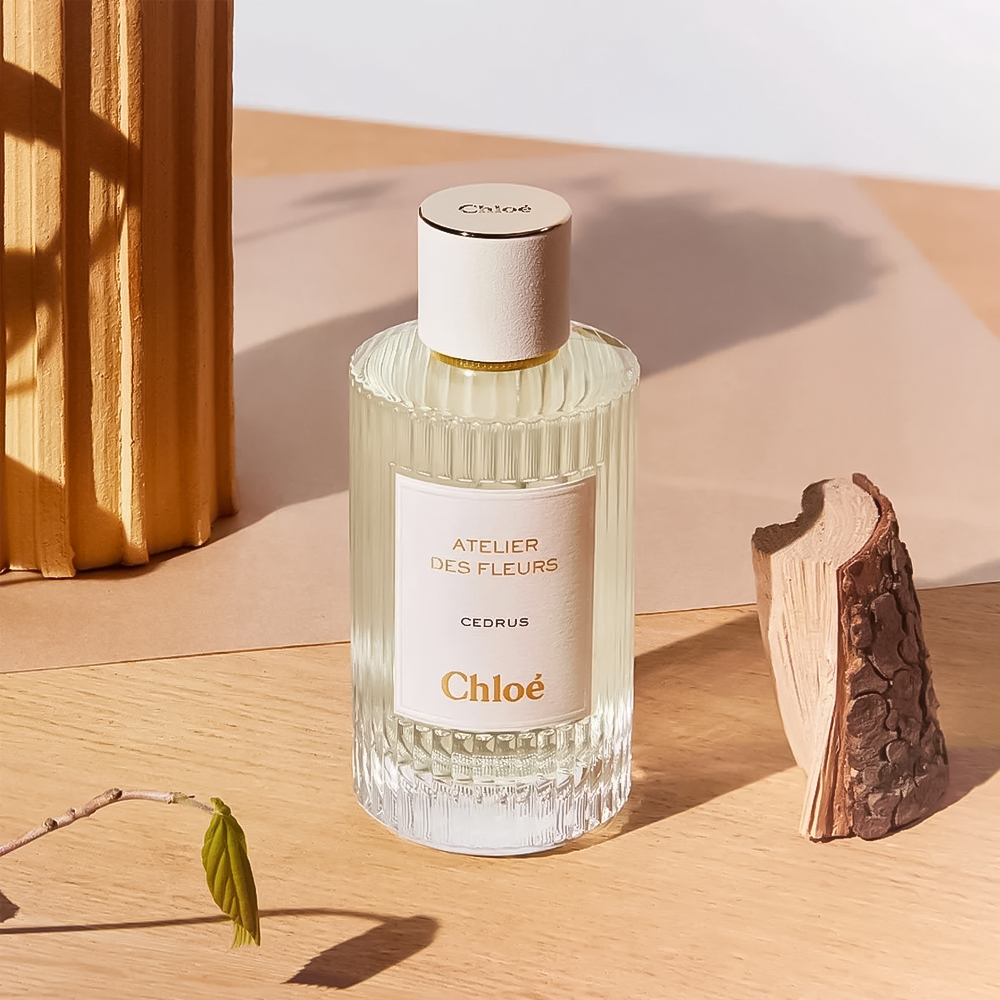 کلوئی سدروس | Chloé Cedrus