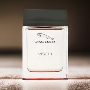 جگوار جگوار ویژن اسپرت | Jaguar Jaguar Vision Sport